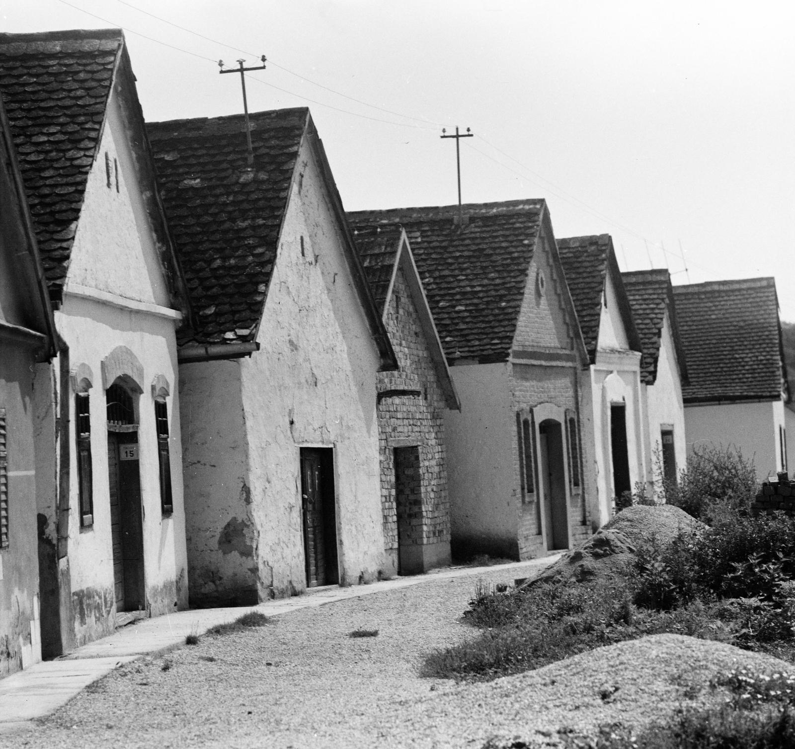 Hungary, Pincesor., 1978, Domokos József, Fortepan #284560