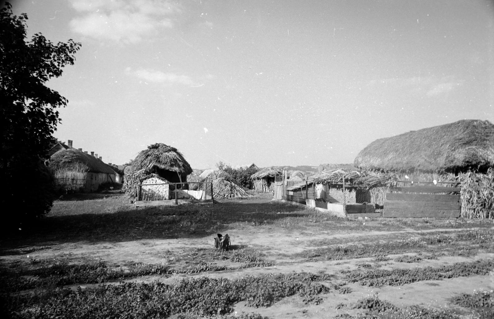1970, Domokos József, vernacular architecture, thatched roof, Fortepan #284632