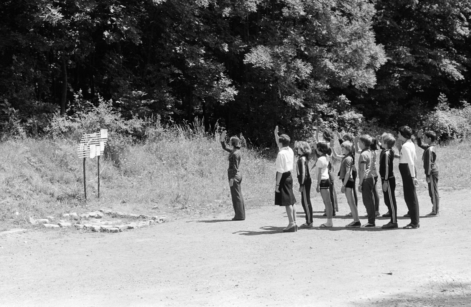 1978, Domokos József, Best of, salute, Fortepan #284664