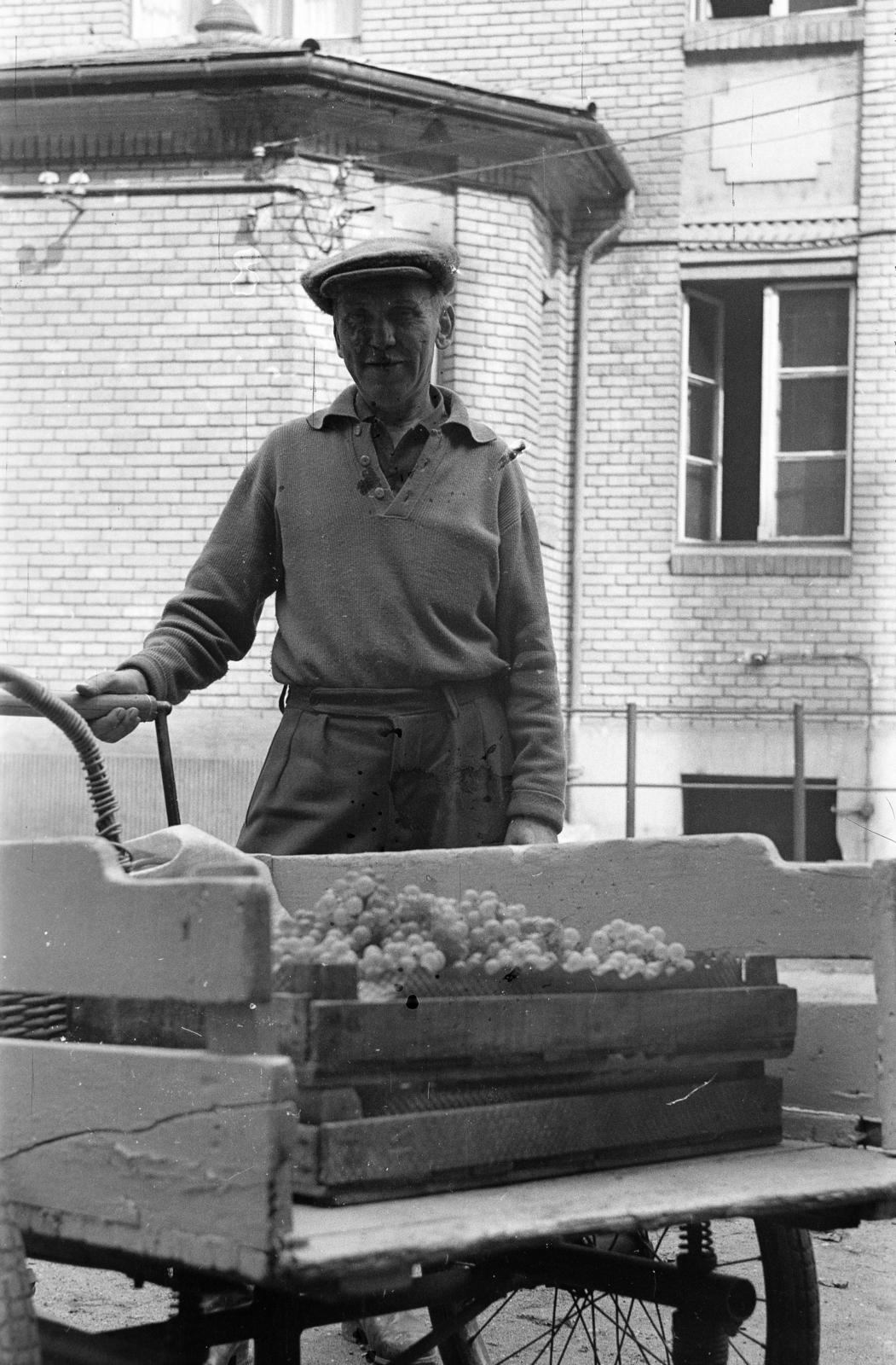 Magyarország, Vác, Schuszter Konstantin (Konstantin) tér, a felvétel a Sztáron Sándor Gimnázium (később Apor Vilmos Katolikus Főiskola) udvarán készült., 1969, Domokos József, tricikli, Fortepan #284703