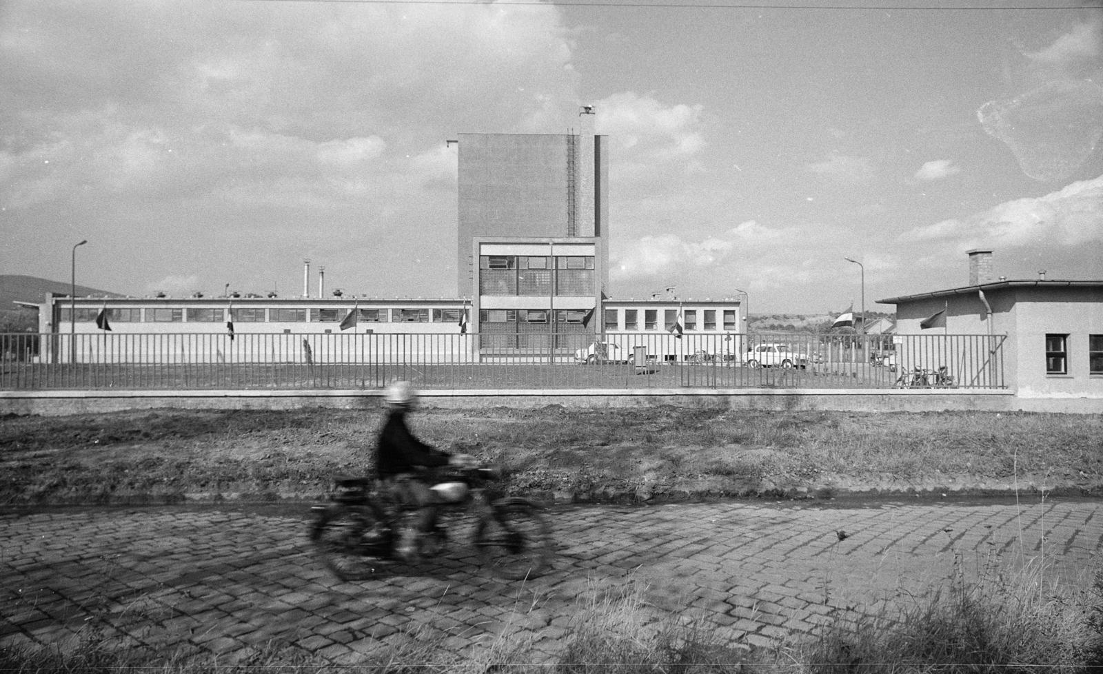1971, Domokos József, factory, Fortepan #284742