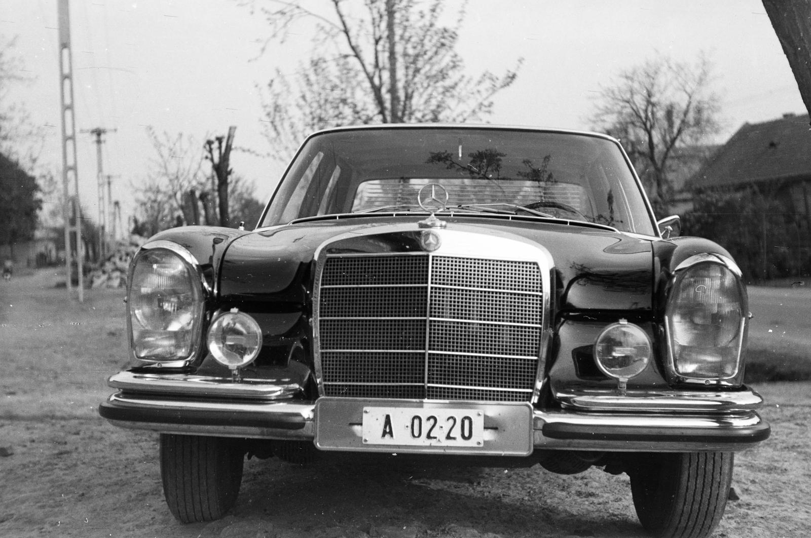 1973, Domokos József, Mercedes-brand, number plate, Fortepan #284759