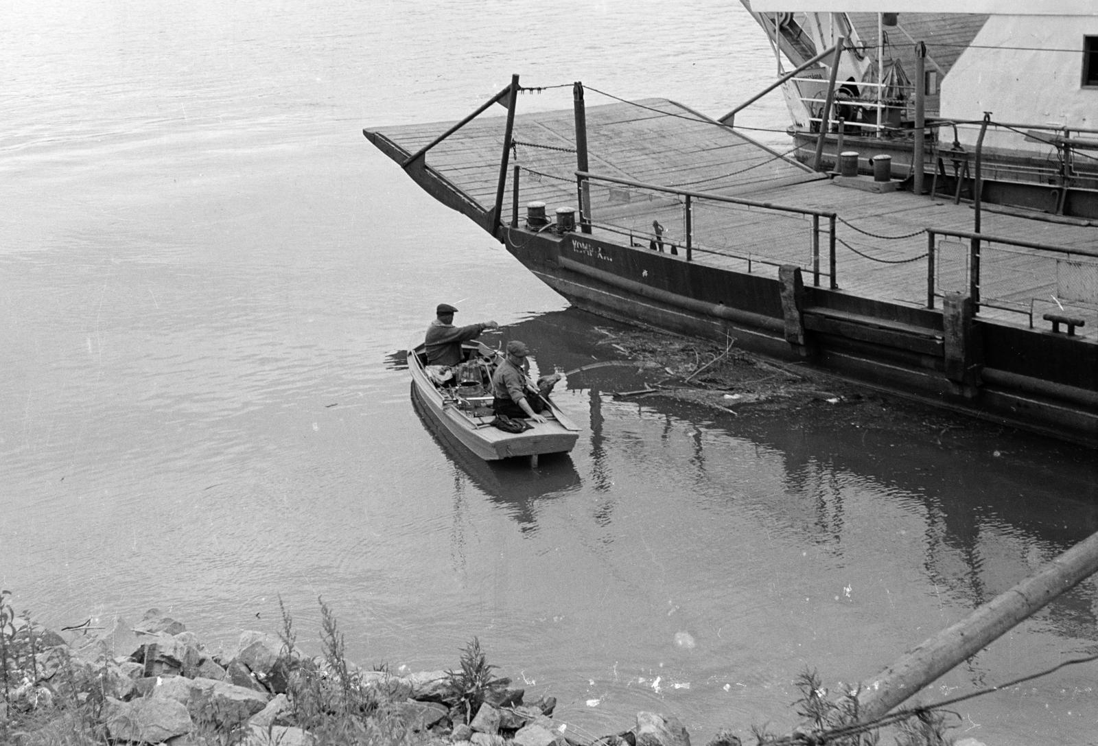 1971, Domokos József, komp, csónak, Fortepan #284816