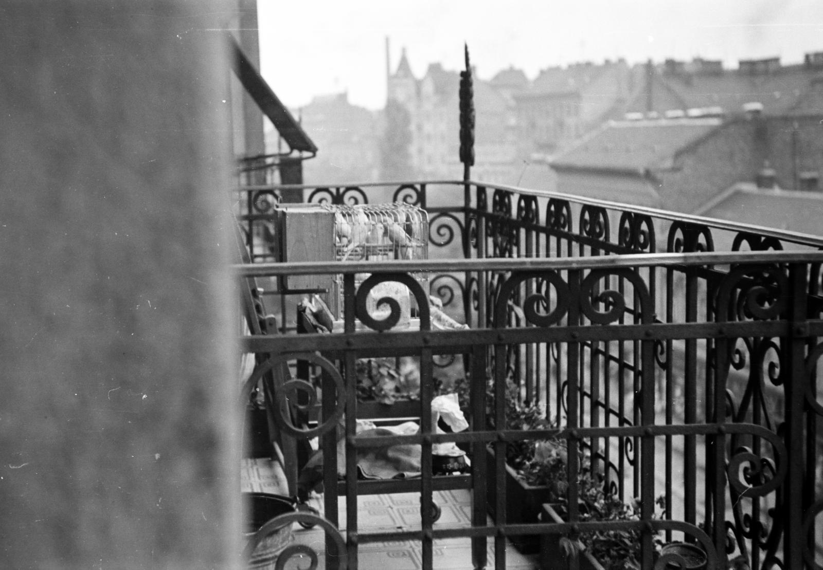 Hungary, Budapest VIII., a Baross utca 112. szám alatti ház egyik erkélye, a háttérben balra a Kálvária tér., 1943, Fortepan/Album090, balcony, railing, bird cage, Budapest, Fortepan #284896