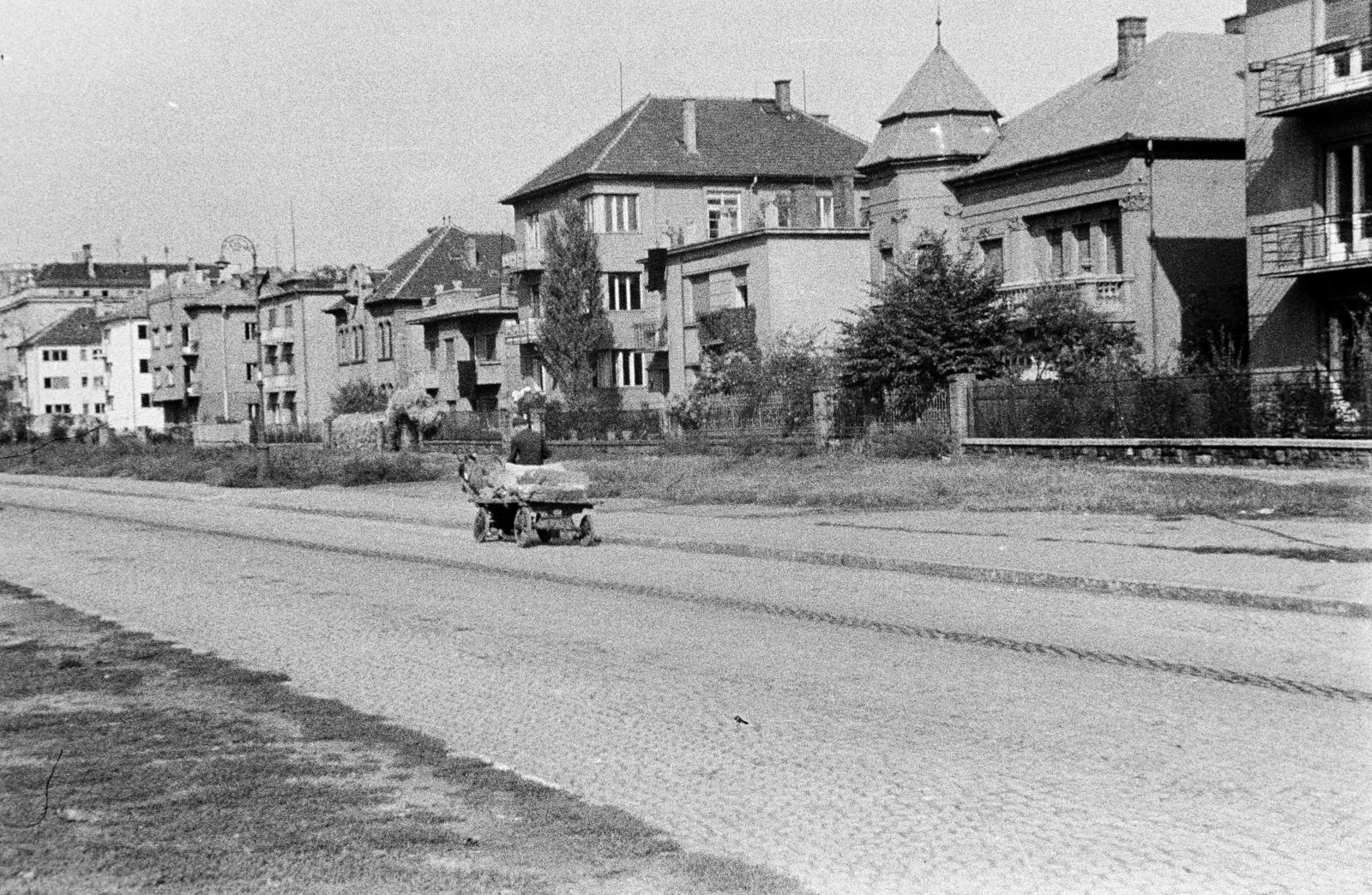 Magyarország, Budapest XIV., a Hungária körút Thököly út - Ajtósi Dürer sor közötti szakasza., 1944, Fortepan/Album090, szekér, Budapest, szamár, Fortepan #284932