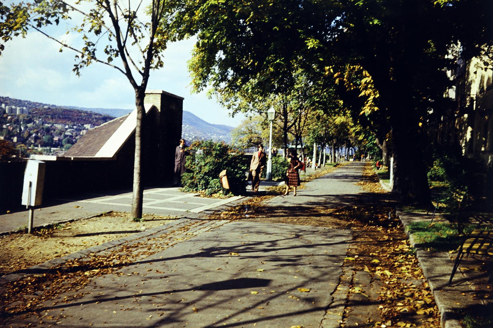 Hungary, Budapest I., Tóth Árpád sétány, balra a Lovas útra (Sziklai Sándor utca) vezető Fedett lépcső., 1980, Gara család, Budapest, autumn, colorful, Fortepan #285107