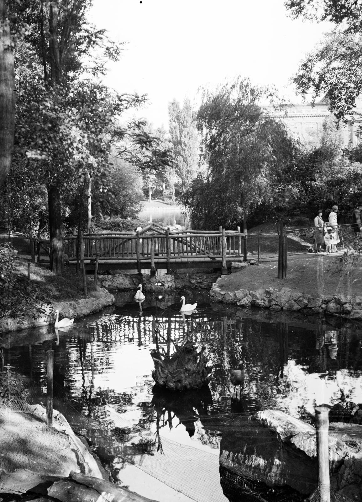 Magyarország, Városliget,Állatkert, Budapest XIV., a felvétel a Nagy-tónál készült., 1921, Gara család, fahíd, vízpart, hattyú, Budapest, Fortepan #285127