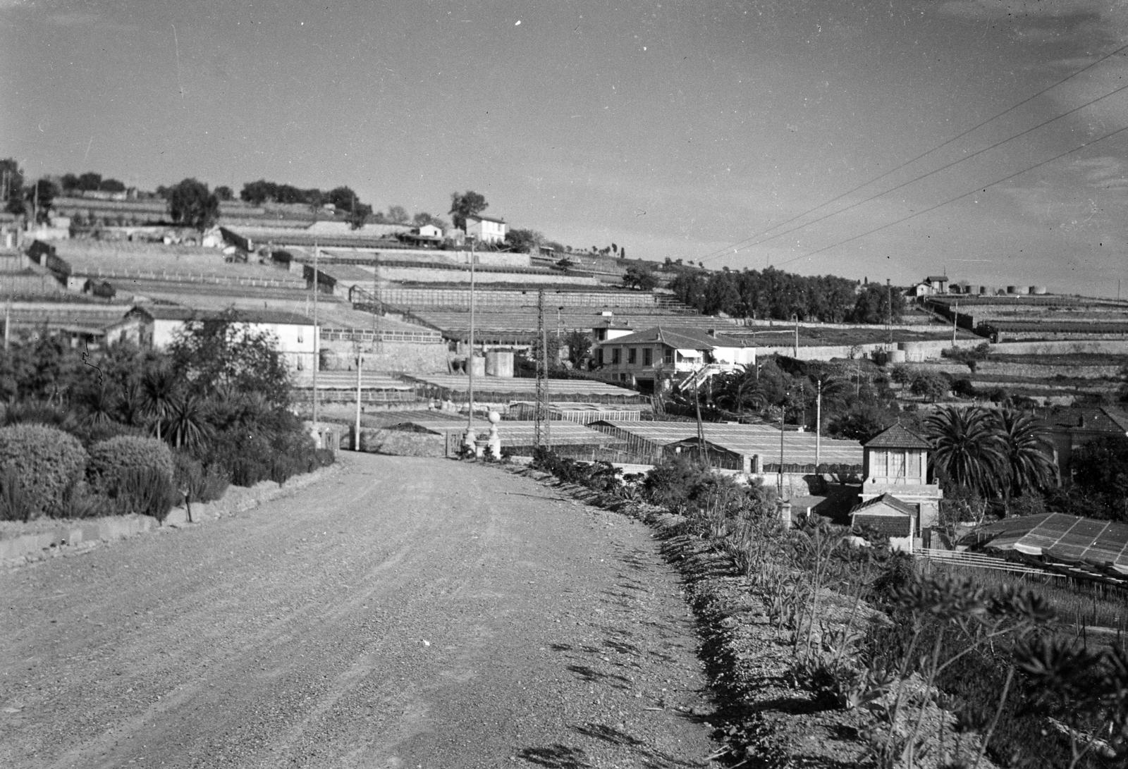 Olaszország, Sanremo, Strada degli Olandesi., 1930, Gara Andor, Fortepan #285150
