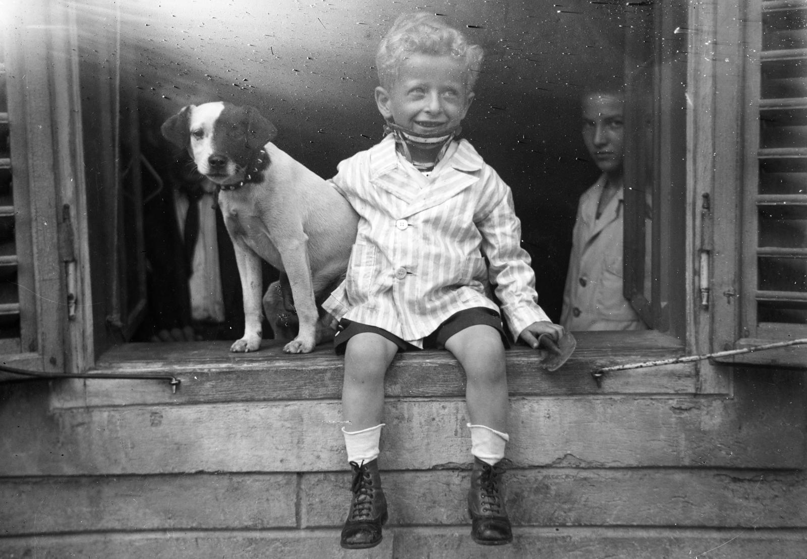 1936, Gara család, Best of, kid, dog, sitting on a windowsill, shovel, venetian blind, kids, medical aids, peeking, Fortepan #285164