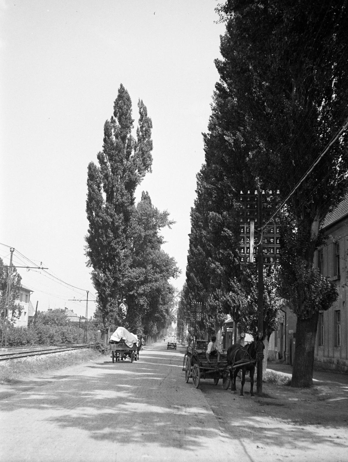 Magyarország, Budapest III., a Szentendrei út Csillaghegy HÉV-állomástól Békásmegyer felé vezető szakasza., 1936, Gara Andor, Budapest, Fortepan #285258