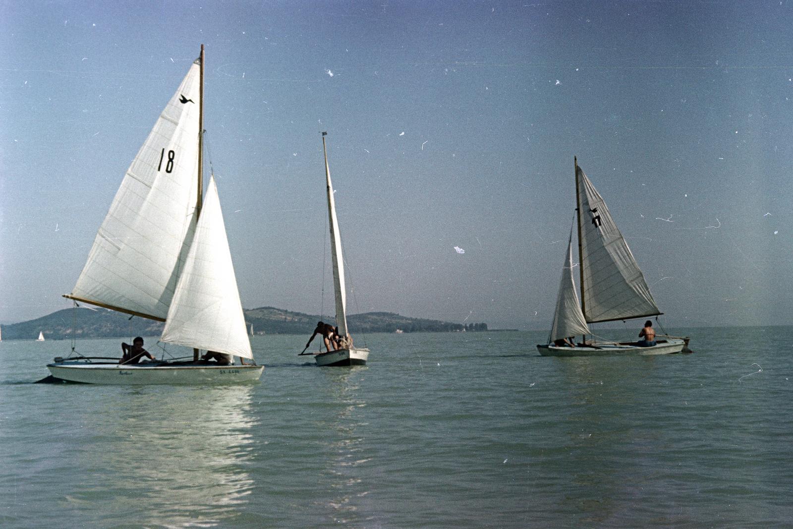 1955, Gara Andor, vitorláshajó, színes, Fortepan #285395