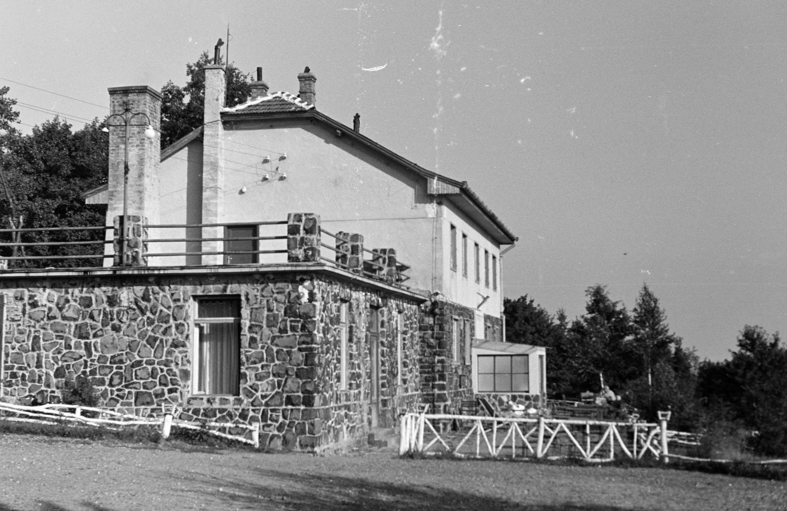 1955, Gara család, freestone, terrace, Fortepan #285444