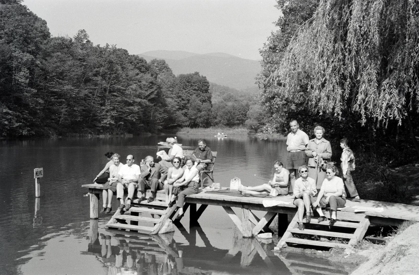 Magyarország, Szokolya, Királyréti tó., 1961, Gara Andor, lépcsőn ülni, társaság, stég, Fortepan #285462
