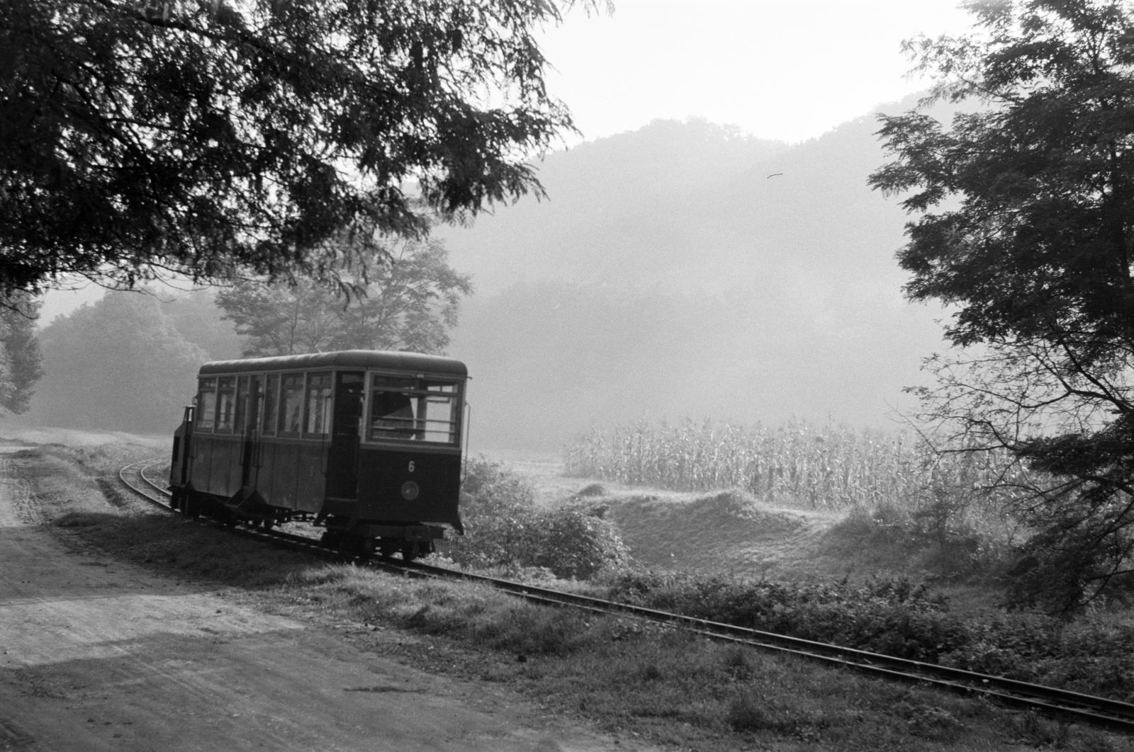 Hungary, Szokolya, a Királyréti Erdei Vasút szerelvénye., 1961, Gara Andor, narrow-gauge railway, fog, Fortepan #285467