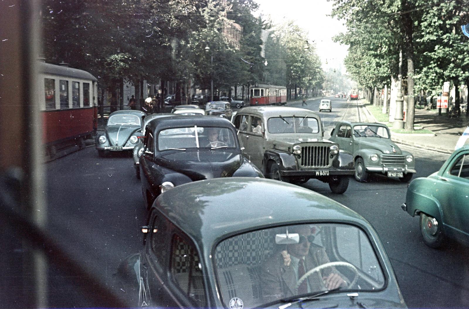 Austria, Vienna, Stubenring., 1959, Gara család, number plate, Volkswagen Beetle, traffic, colorful, tram, Fortepan #285485