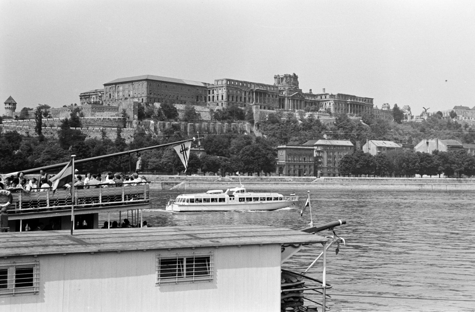 1960, Gara Andor, Duna, vízibusz, Fortepan #285536