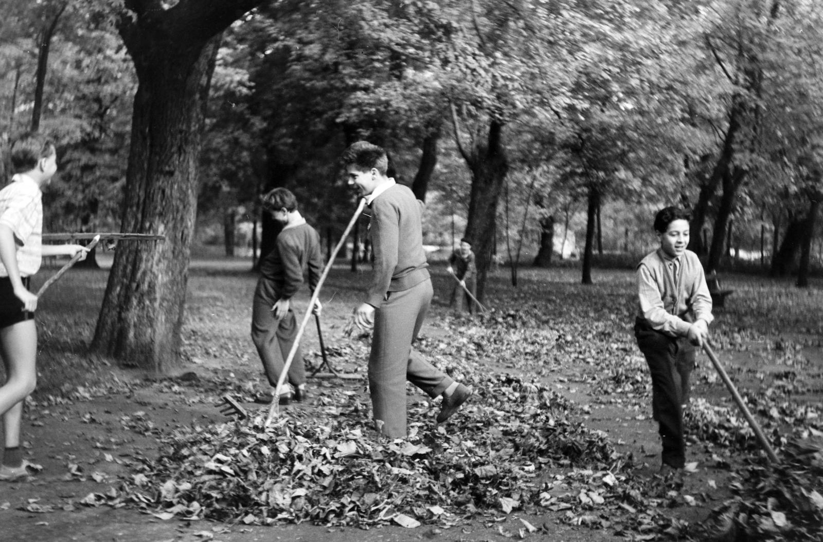 1958, Gara Andor, autumn, boys, fun, rake, Fortepan #285589
