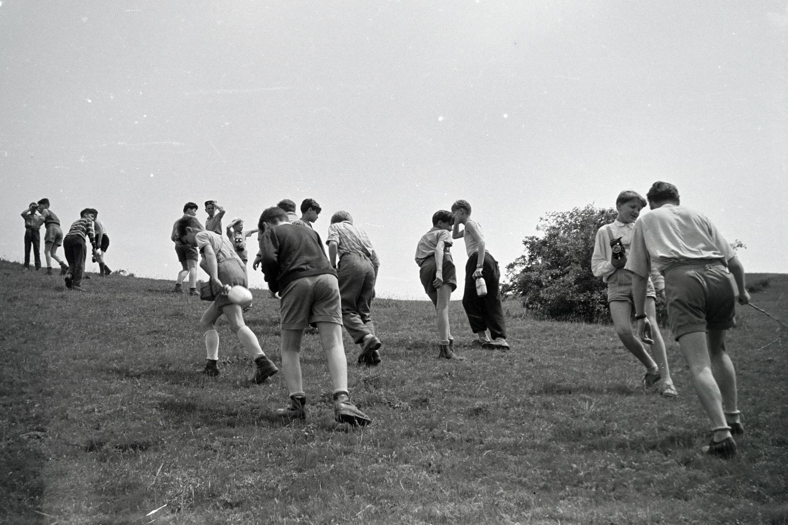 1955, Gara család, Best of, kirándulás, Fortepan #285620