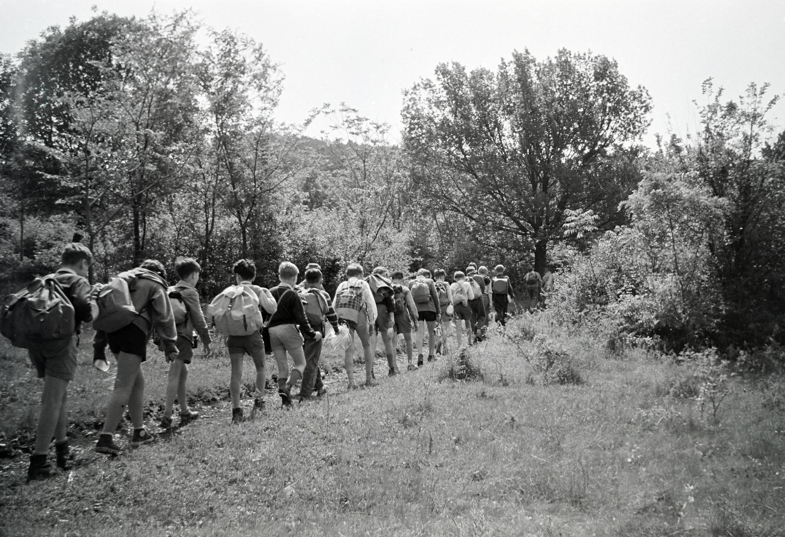 1955, Gara Andor, excursion, backpack, Fortepan #285622