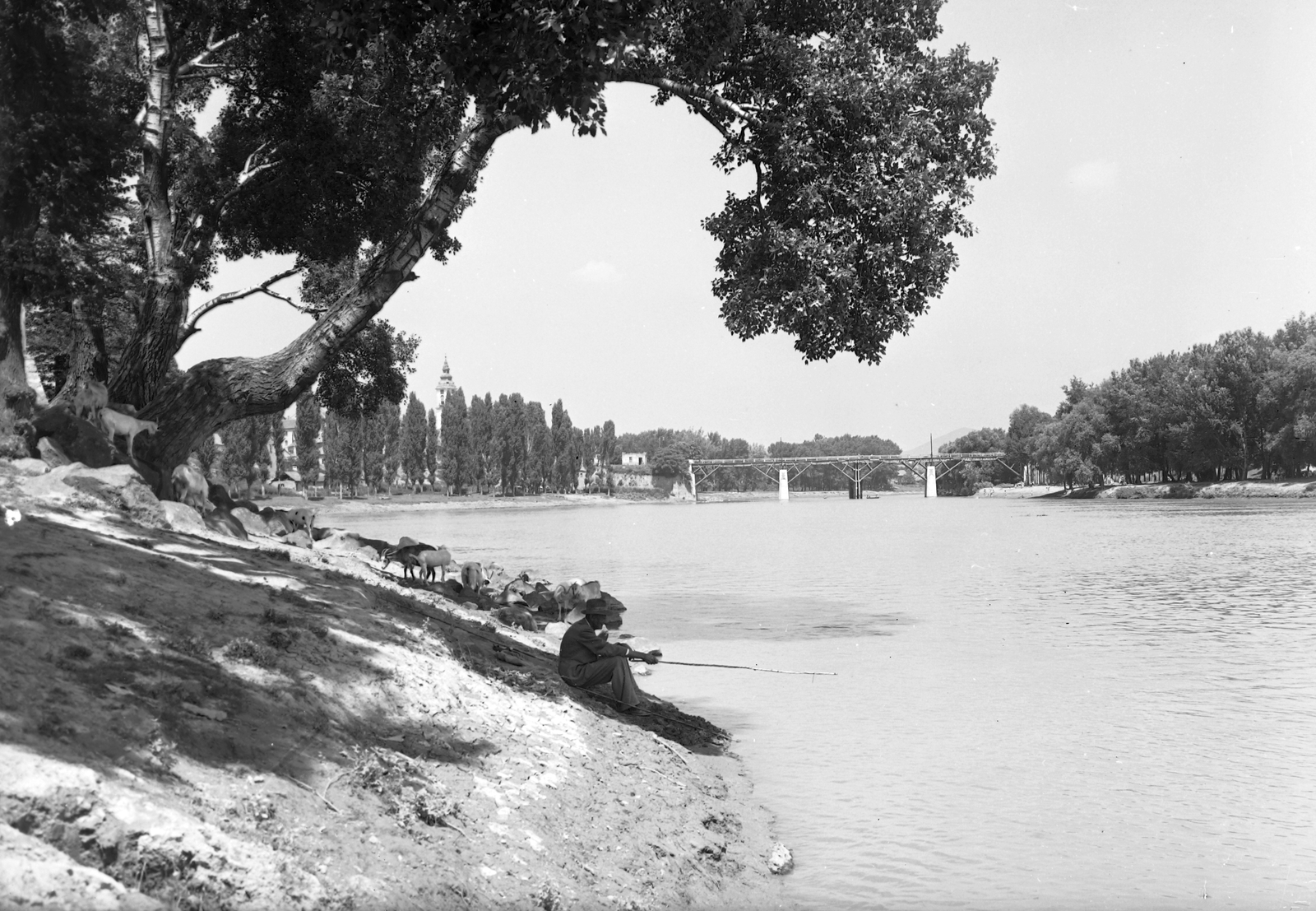 Magyarország, Sárospatak, Bodrog-part, a híd mellett balra a református templom., 1959, Építésügyi Dokumentációs és Információs Központ, VÁTI, horgászat, kecske, vízpart, Fortepan #28576