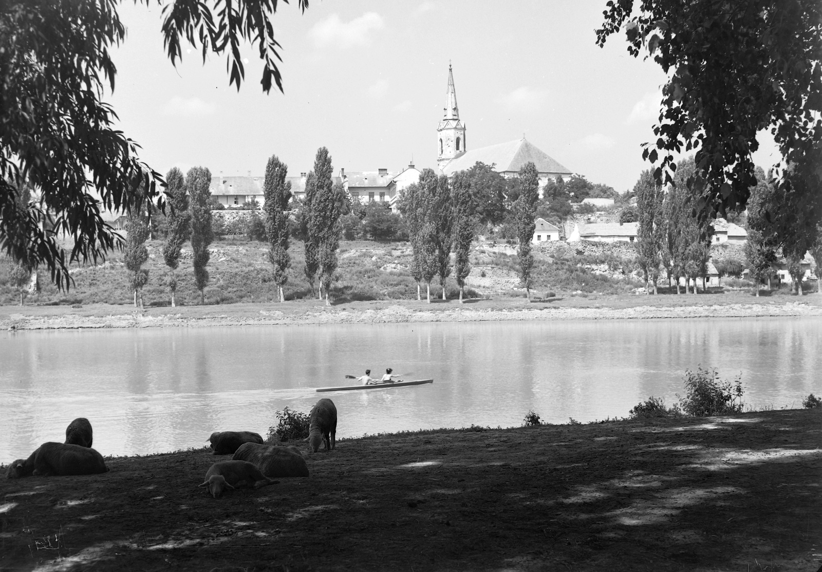Hungary, Sárospatak, a Szent Erzsébet templom (Vártemplom) a Bodrog bal partjáról., 1959, Építésügyi Dokumentációs és Információs Központ, VÁTI, sheep, kayak, paddling, shore, Fortepan #28577