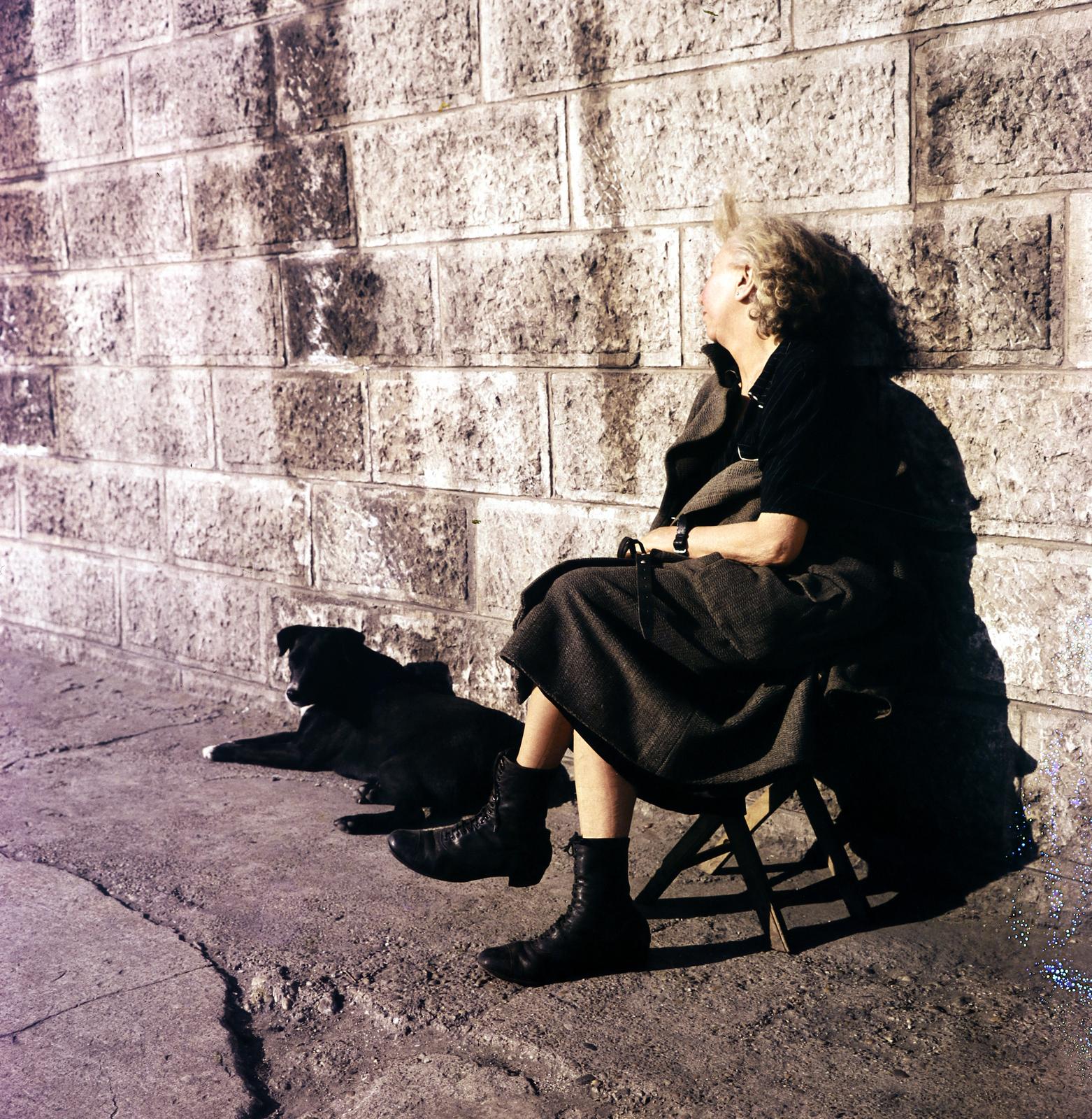 1960, Gara család, napozás, magasszárú cipő, színes, kutya, Fortepan #285784