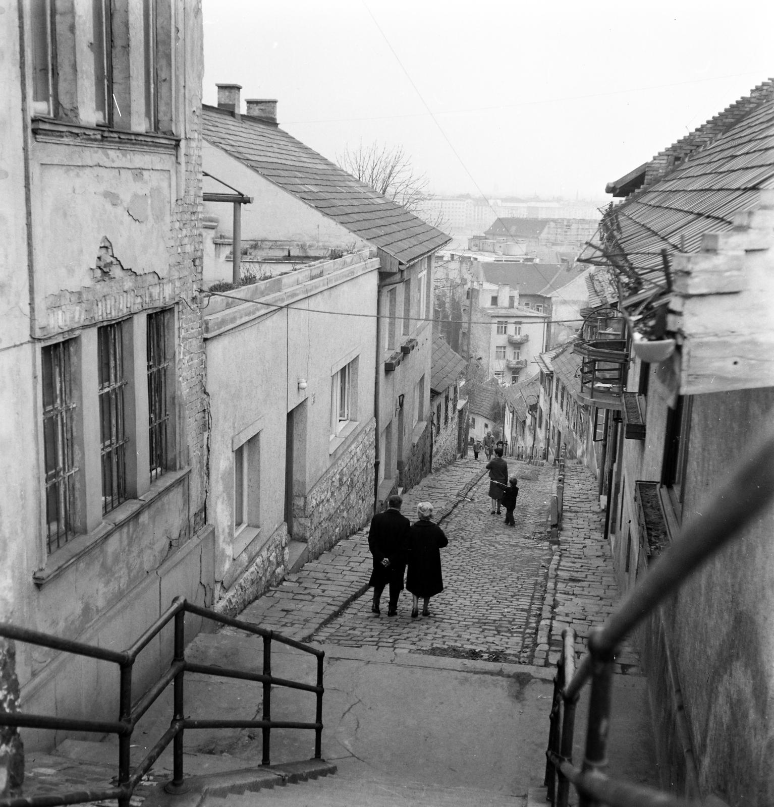 Hungary, Budapest II., a Vérhalom utcától a Gül Baba utcához vezető lépcsőnél készült a felvétel., 1961, Gara Andor, Budapest, Fortepan #285795