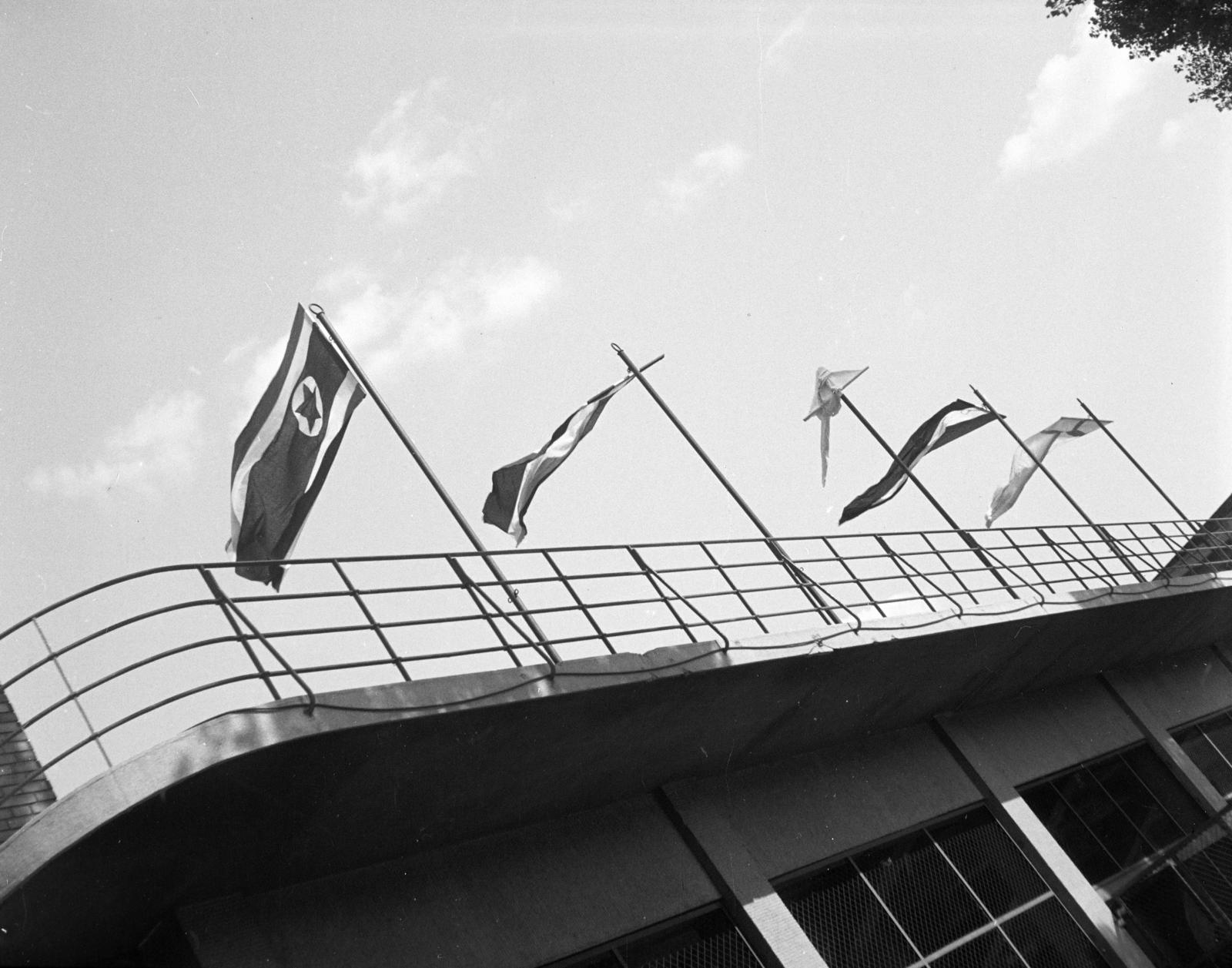 1954, Gara család, ferde, Fortepan #285856