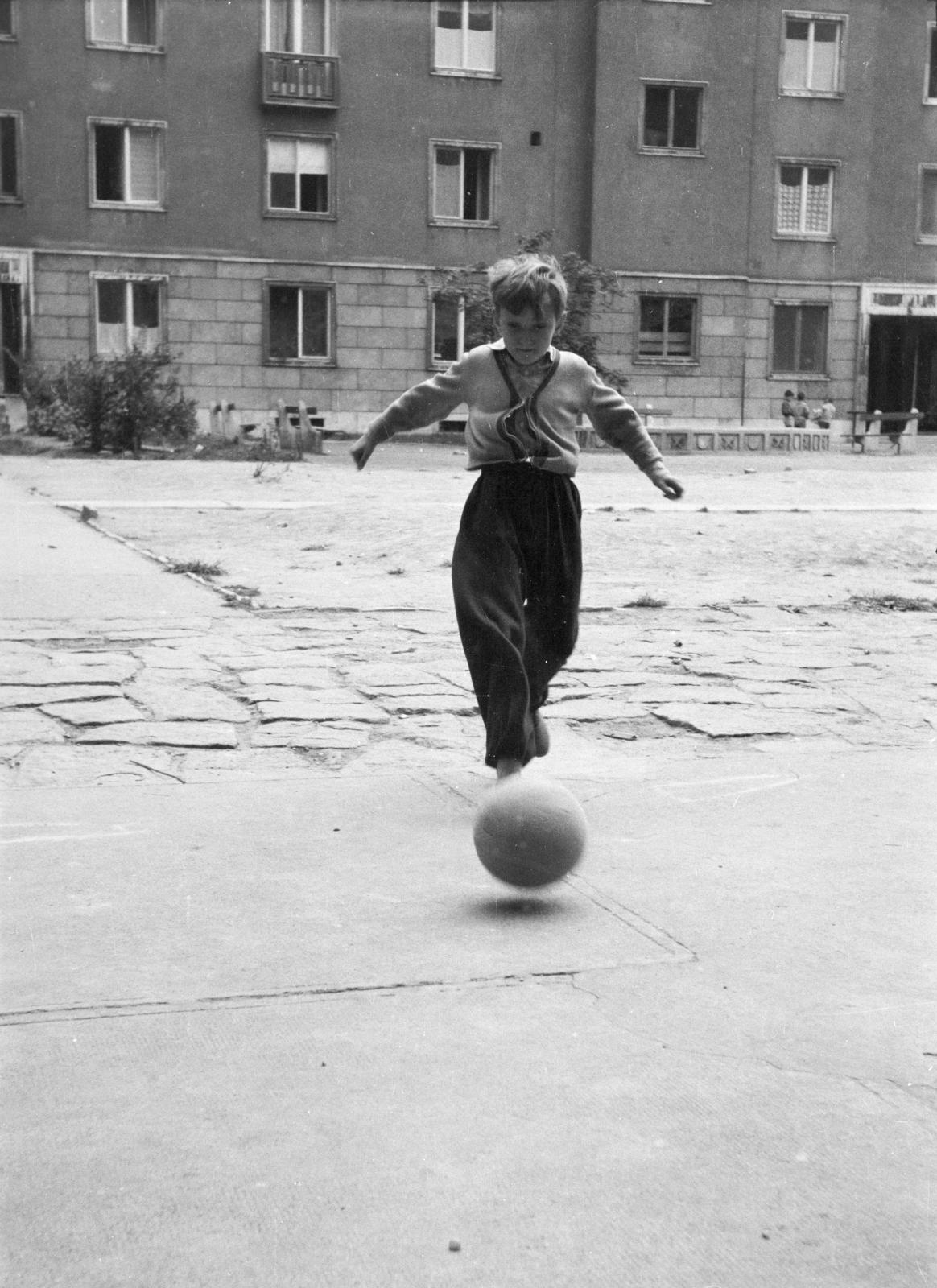 Hungary, Budapest V., a Balaton (Pálffy György) utca - Honvéd utca - Honvéd (Néphadsereg) tér - Szemere utca által határolt háztömb udvara,, 1959, Garaczi László, Budapest, Fortepan #285981
