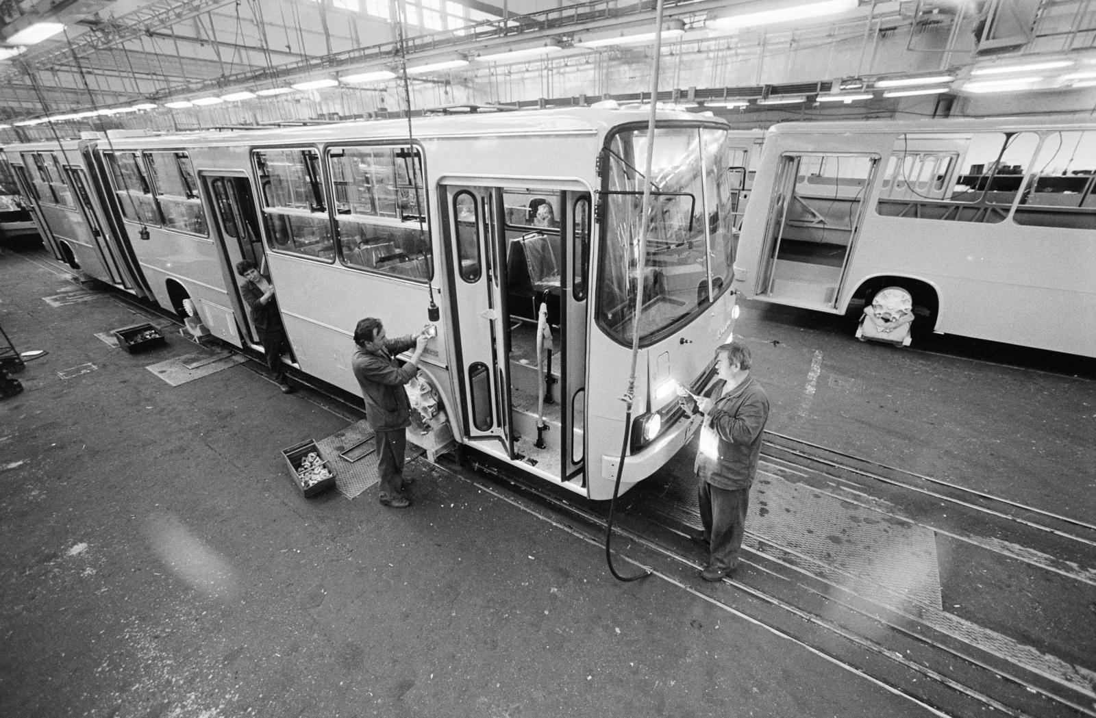 1987, Horváth Péter, bus, Ikarus-brand, Fortepan #286153