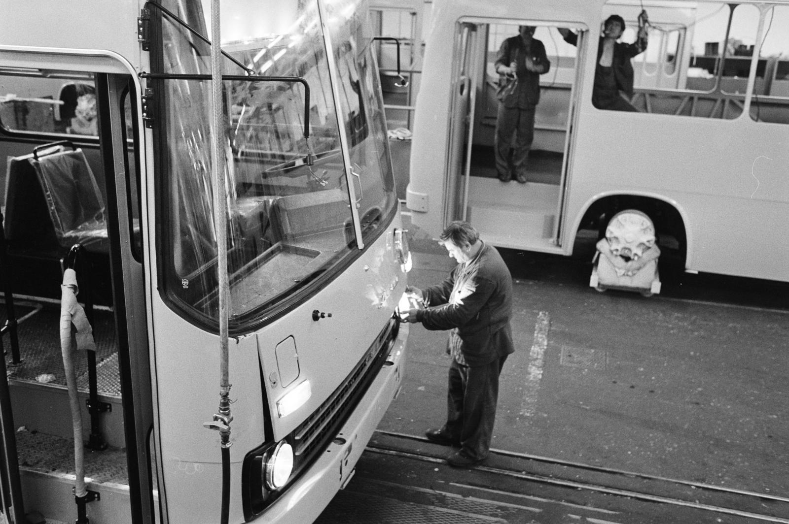 1987, Horváth Péter, bus, Ikarus-brand, Fortepan #286154