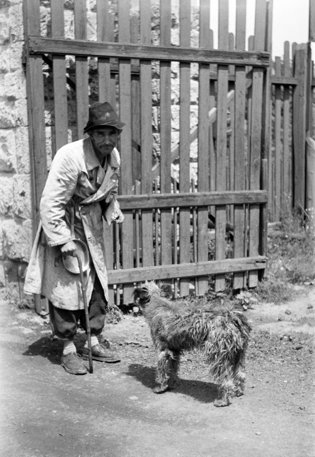 Hungary, Miskolc, Győri kapu, a felvétel a Magyar Gyárépítő Nemzeti Vállalat telephelyének kapujánál készült., 1950, Kieselbach Tamás, dog, poverty, beggar, Fortepan #286248