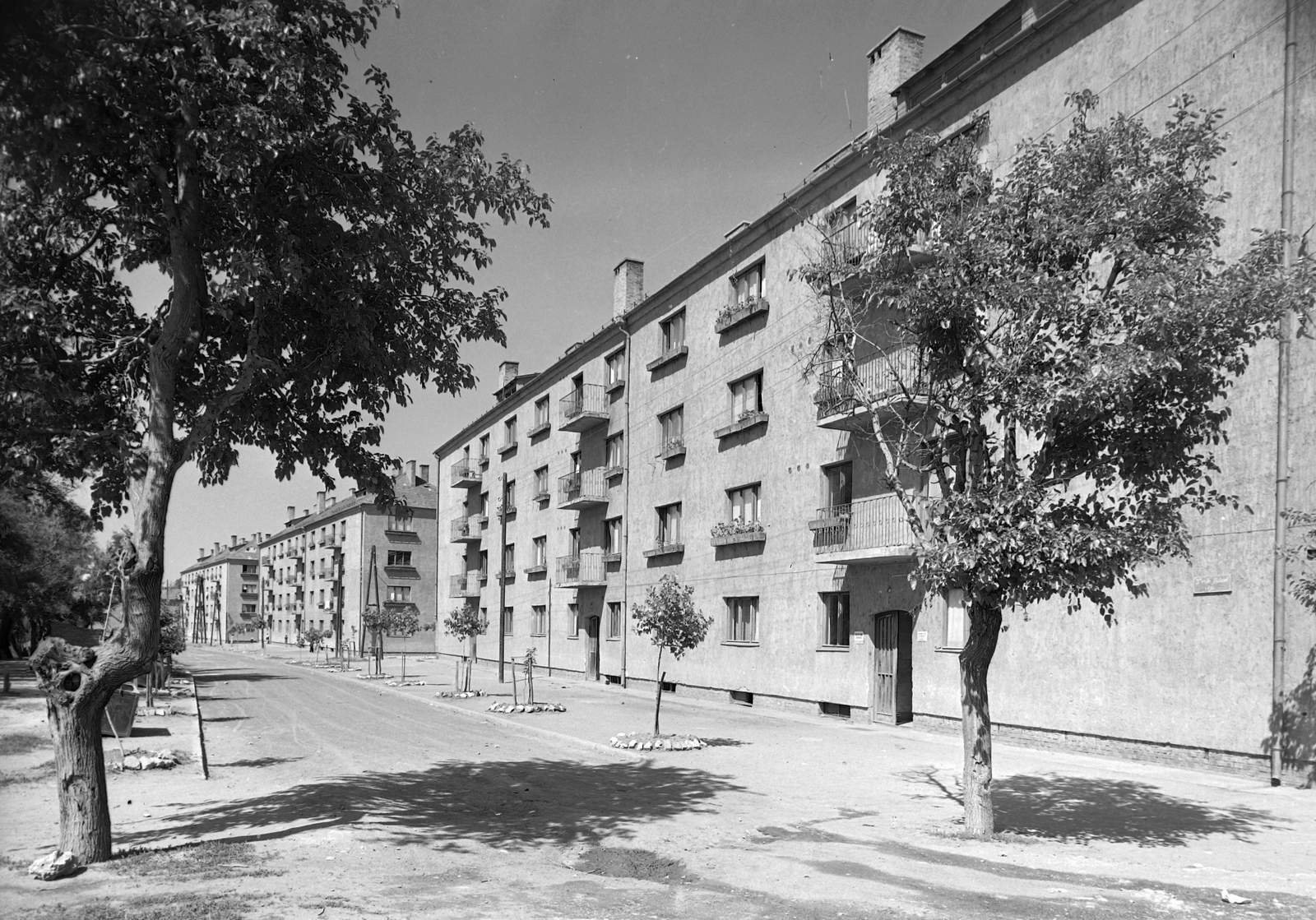 Hungary, Várpalota, Korompay Lajos utca (Kiváló Fiatalok útja) a Gárdonyi Géza utca felé nézve., 1955, Építésügyi Dokumentációs és Információs Központ, VÁTI, blocks, street view, Fortepan #28634
