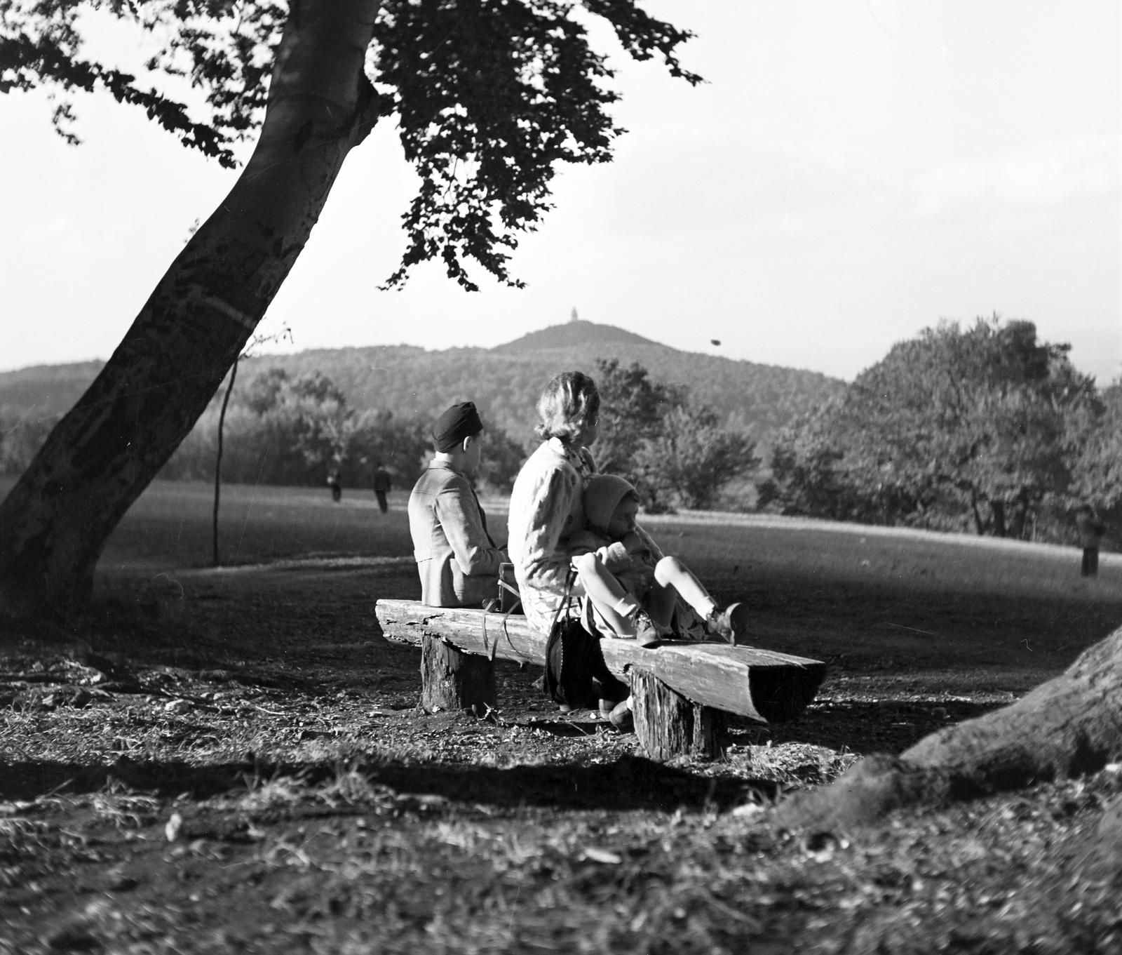 Hungary, Budapest XII., Anna-rét a Normafa mellett., 1939, Kieselbach Tamás, relaxation, excursion, bench, family, Budapest, Fortepan #286469