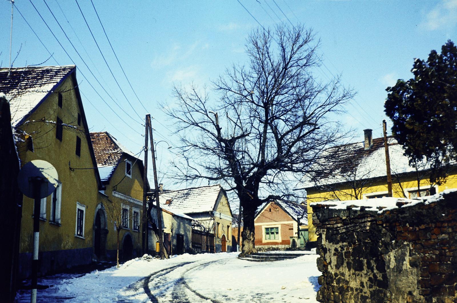 Magyarország, Szentendre, Rab Ráby tér, bal szélen Rab Ráby háza., 1979, Kozák, színes, Fortepan #286690