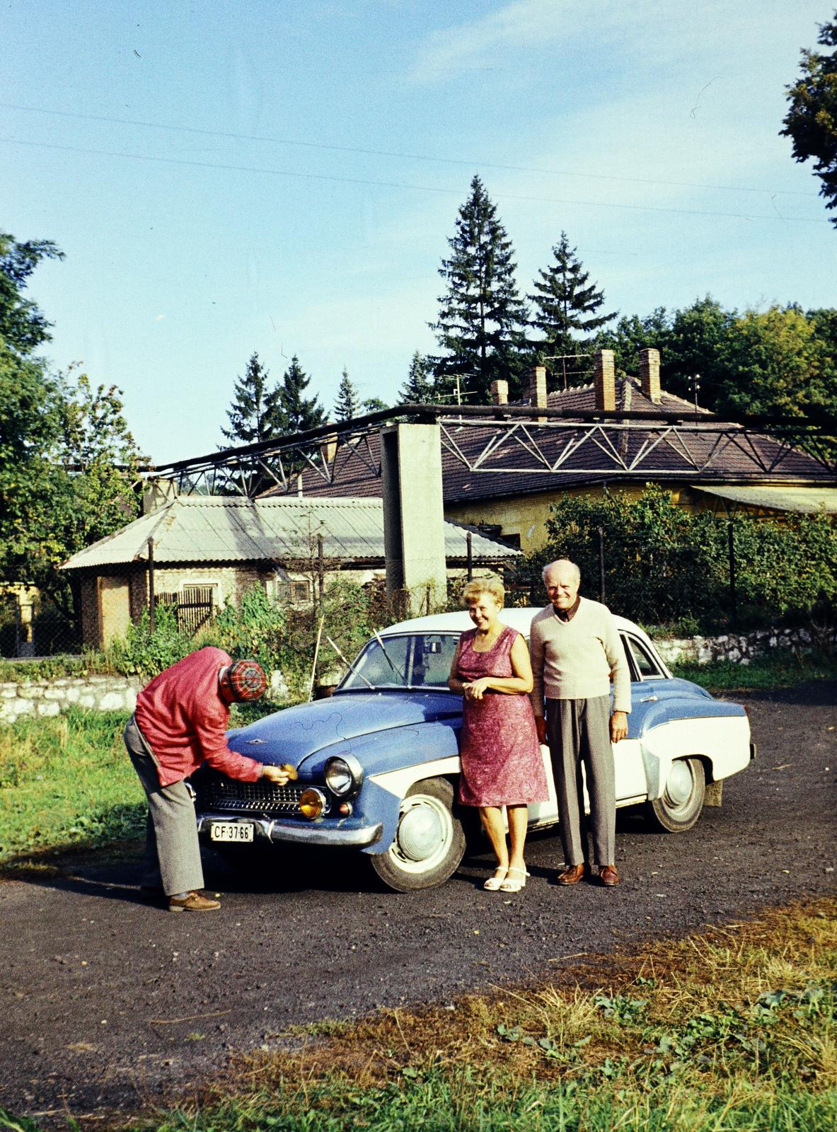 1974, Kozák, number plate, Fortepan #286699