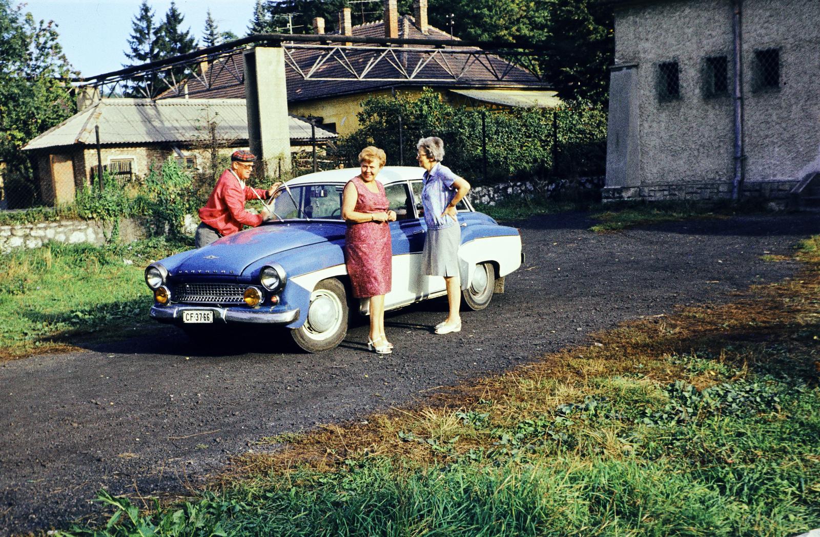 1974, Kozák, number plate, girls'n'cars, Fortepan #286701