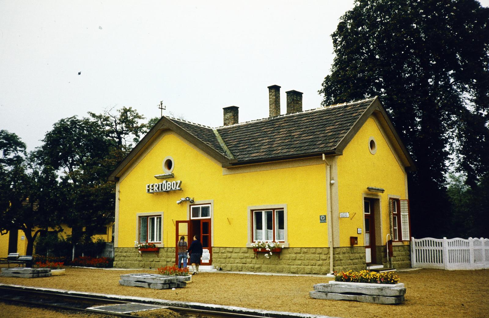 Hungary, vasútállomás., 1973, Kozák, colorful, Fortepan #286715