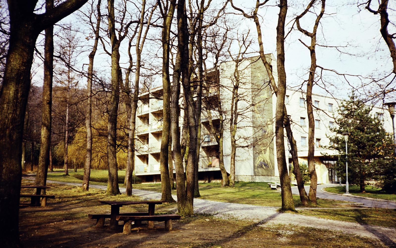 Hungary, Sopron, Várisi út 4., Hotel Fenyves (később Hotel Lövér). Az oldalhomlokzaton Ludmány Ottó sgraffito-ja., 1982, Kozák, colorful, Fortepan #286744