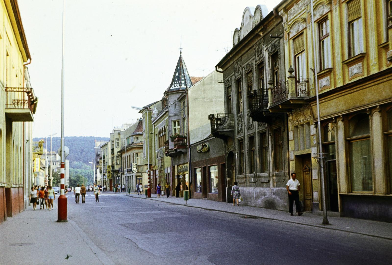 Slovakia, Piešťany, Winterova ulica., 1973, Kozák, colorful, Fortepan #286835