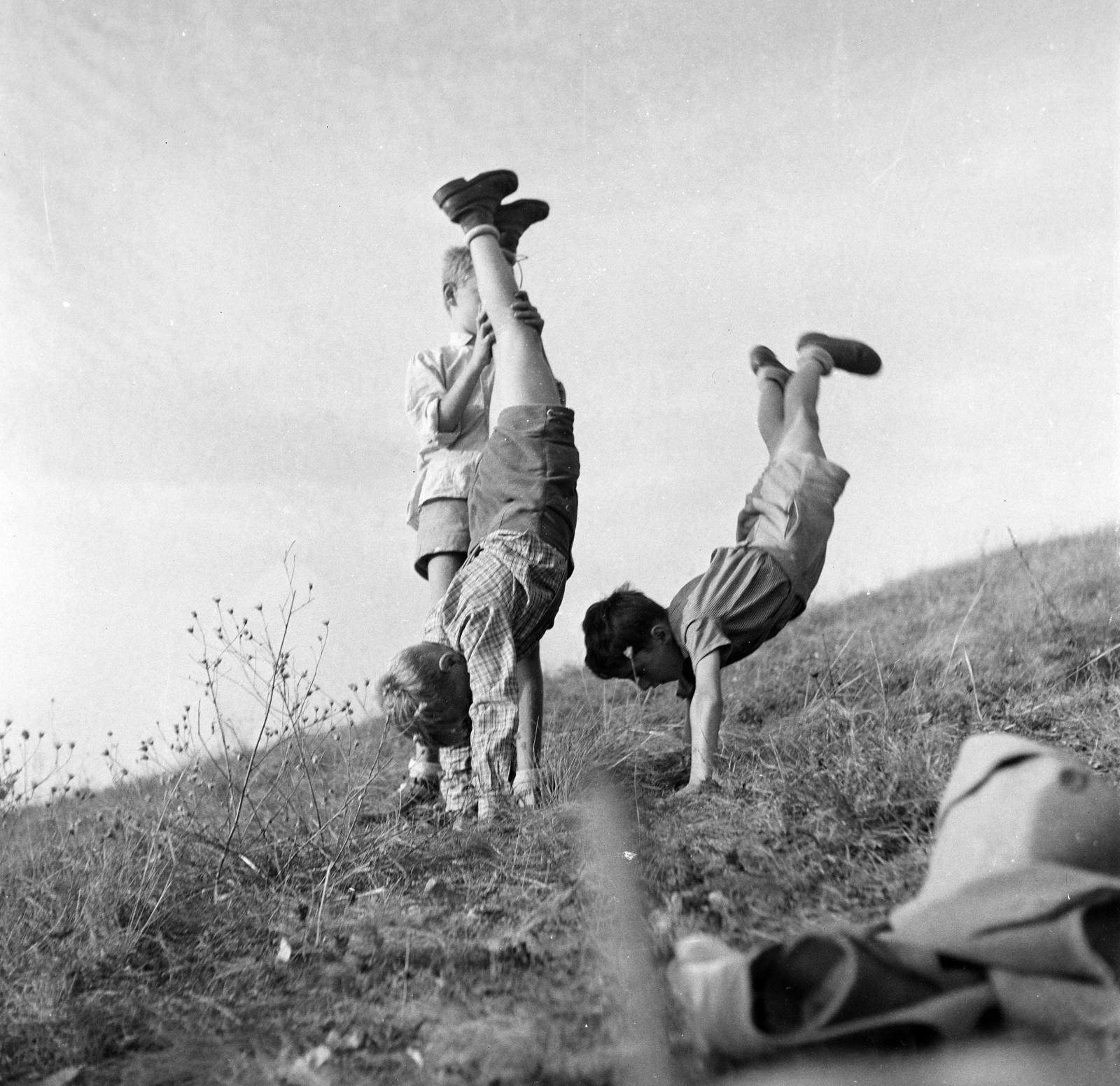 1962, Szentkuthy Ibolya, kids, Fortepan #286893