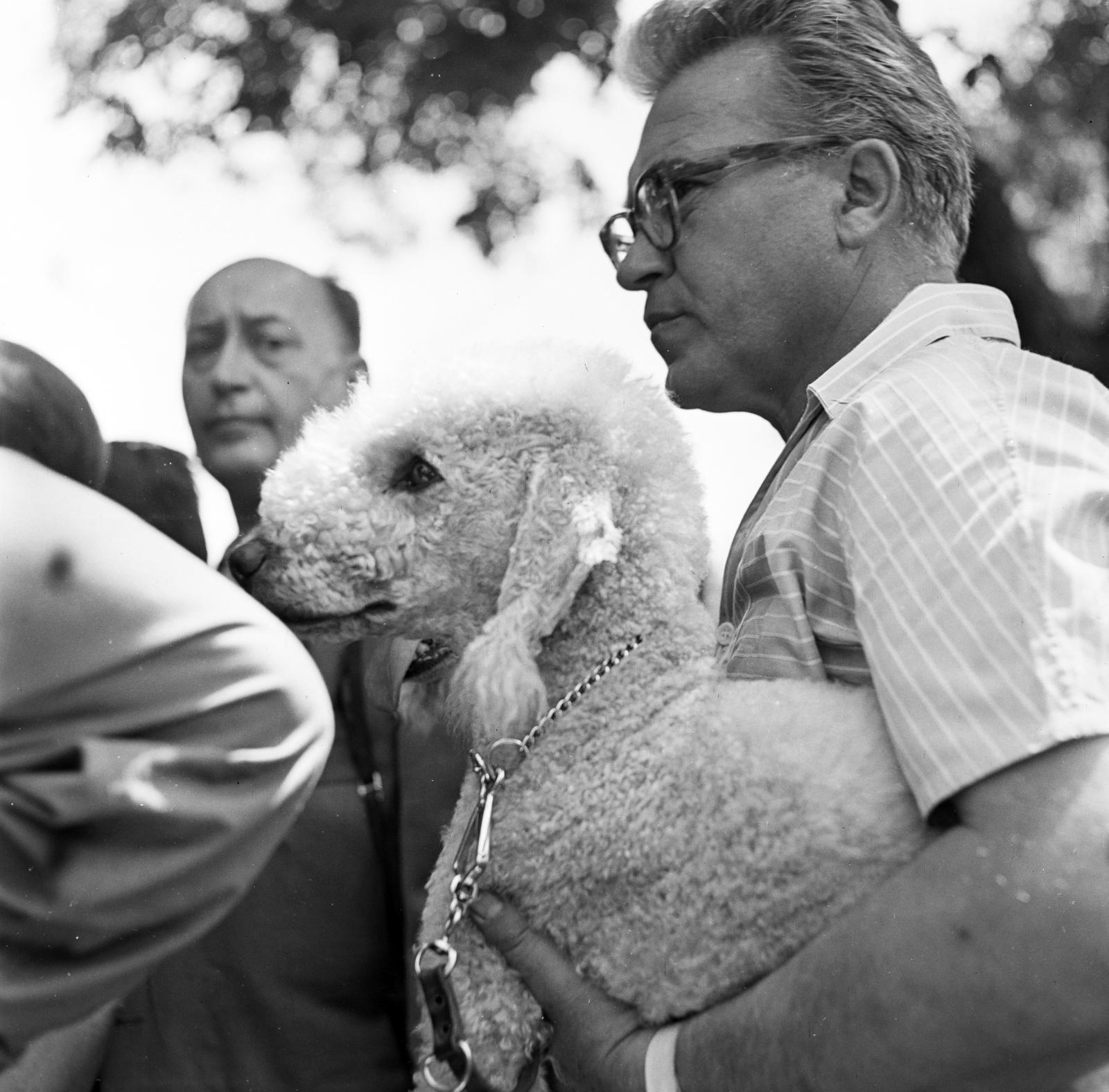 1960, Szentkuthy Ibolya, dog, Fortepan #286969