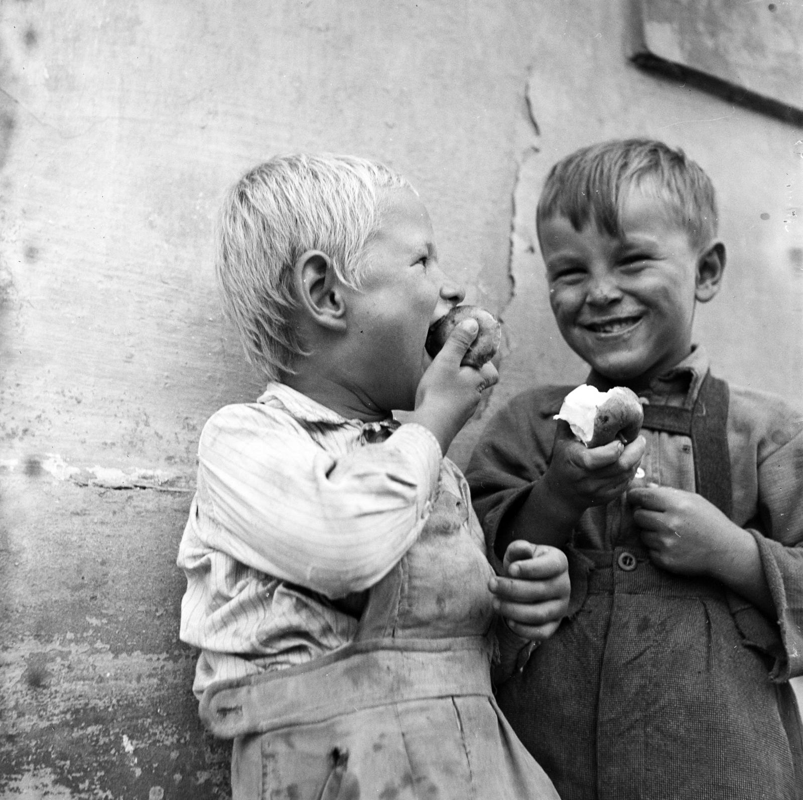 1955, Szentkuthy Ibolya, Fortepan #286977