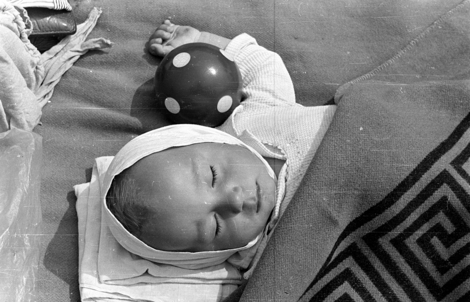 1958, Szilvási hagyaték, Best of, kid, sleeping, Fortepan #287059