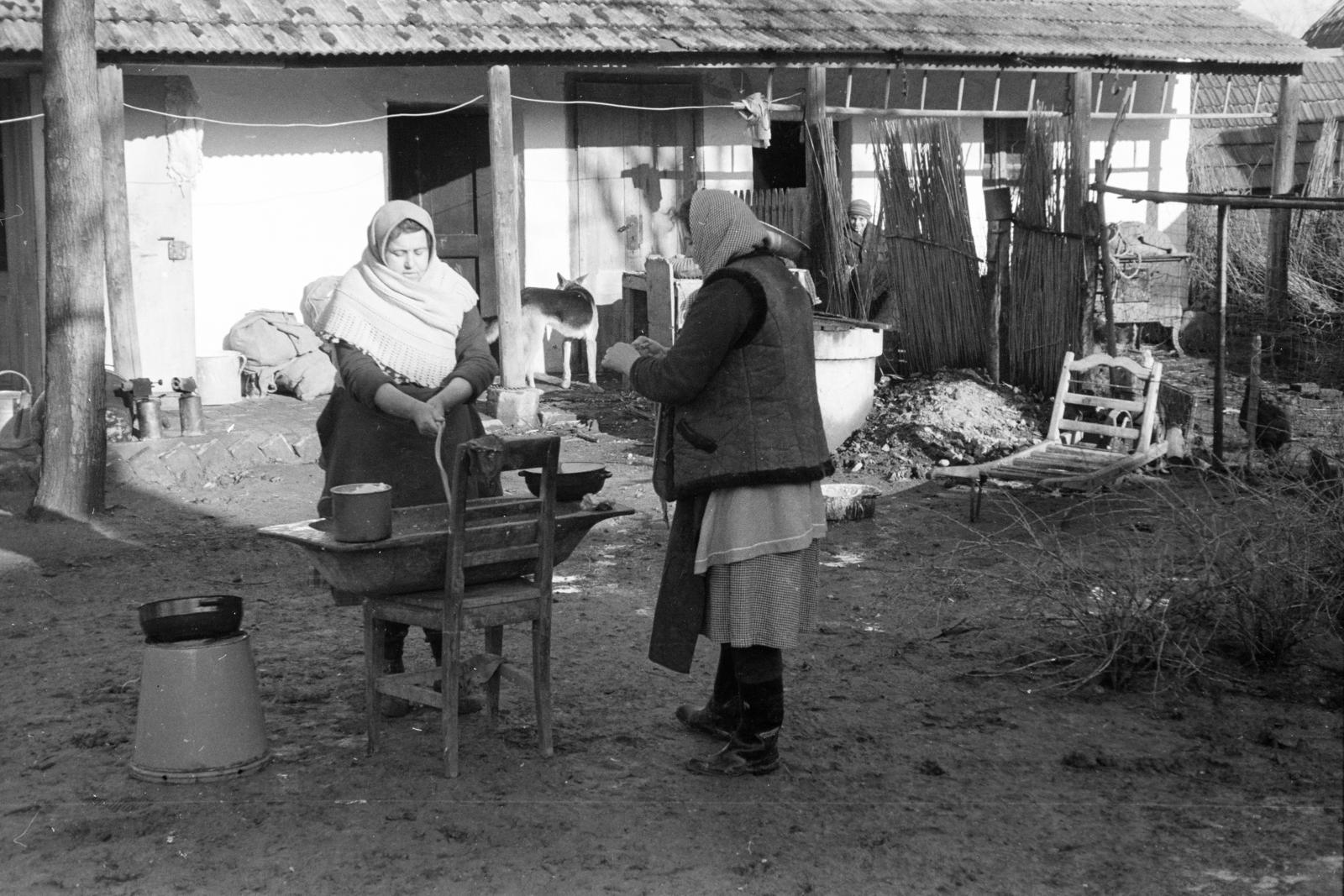 1961, Tóth Ákos, yard, pig slaughter, tub, women, sheepskin jacket, Fortepan #287181