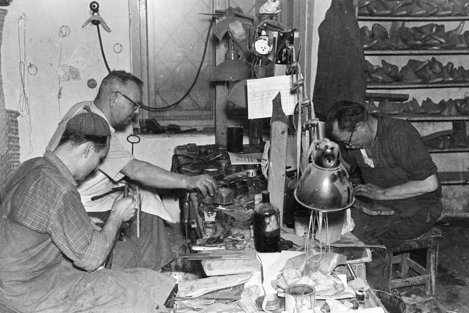 1960, Tóth Ákos, shoemaker, Fortepan #287269