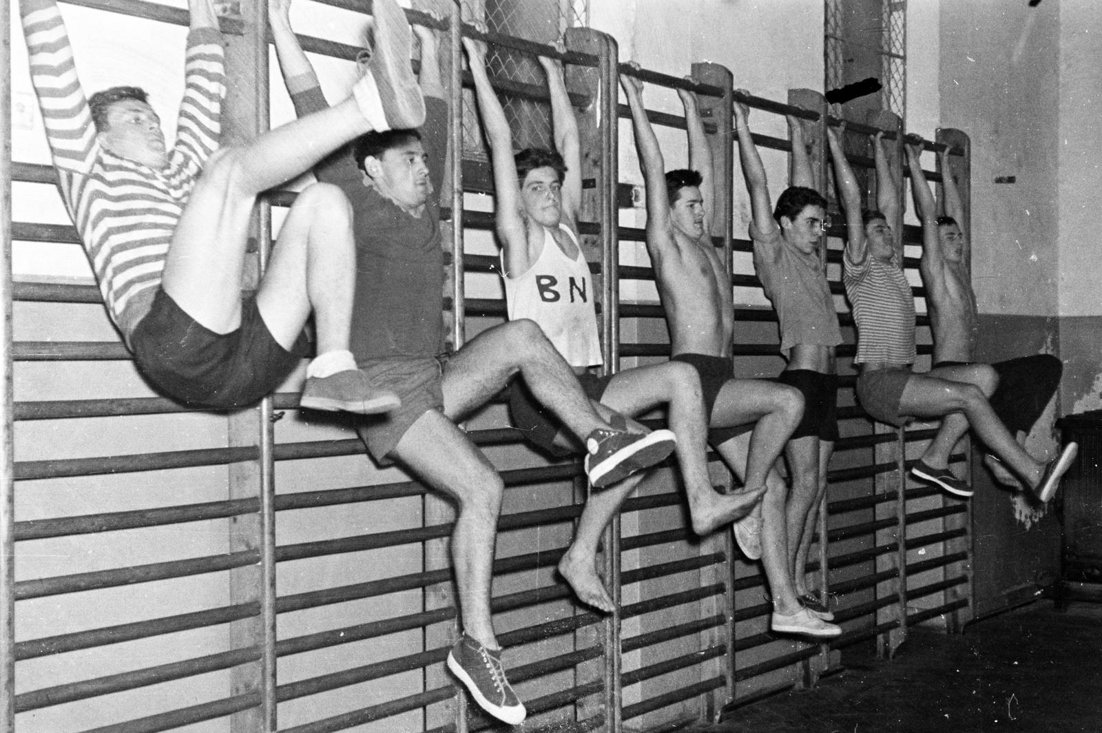1961, Tóth Ákos, gym, Exercise Equipment, wall-bars, Fortepan #287272