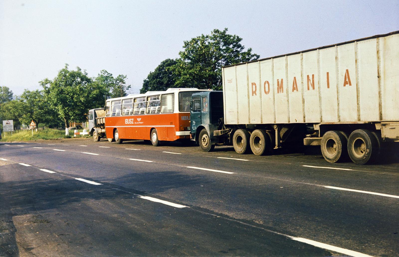 1978, Tóth Ákos, colorful, Fortepan #287294