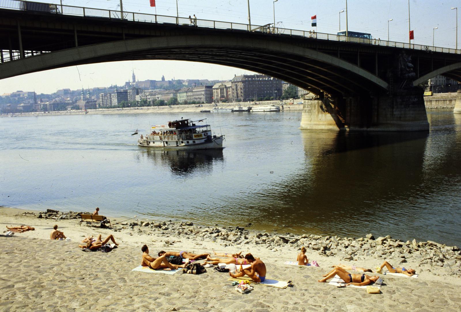 1988, Saphier Herbert, shore, sunbathe, water bus, Fortepan #287431