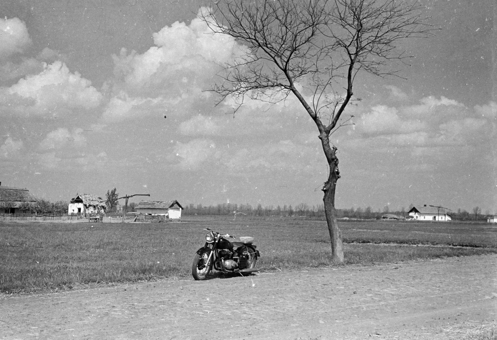1959, Ladinek Viktor, Fortepan #287462